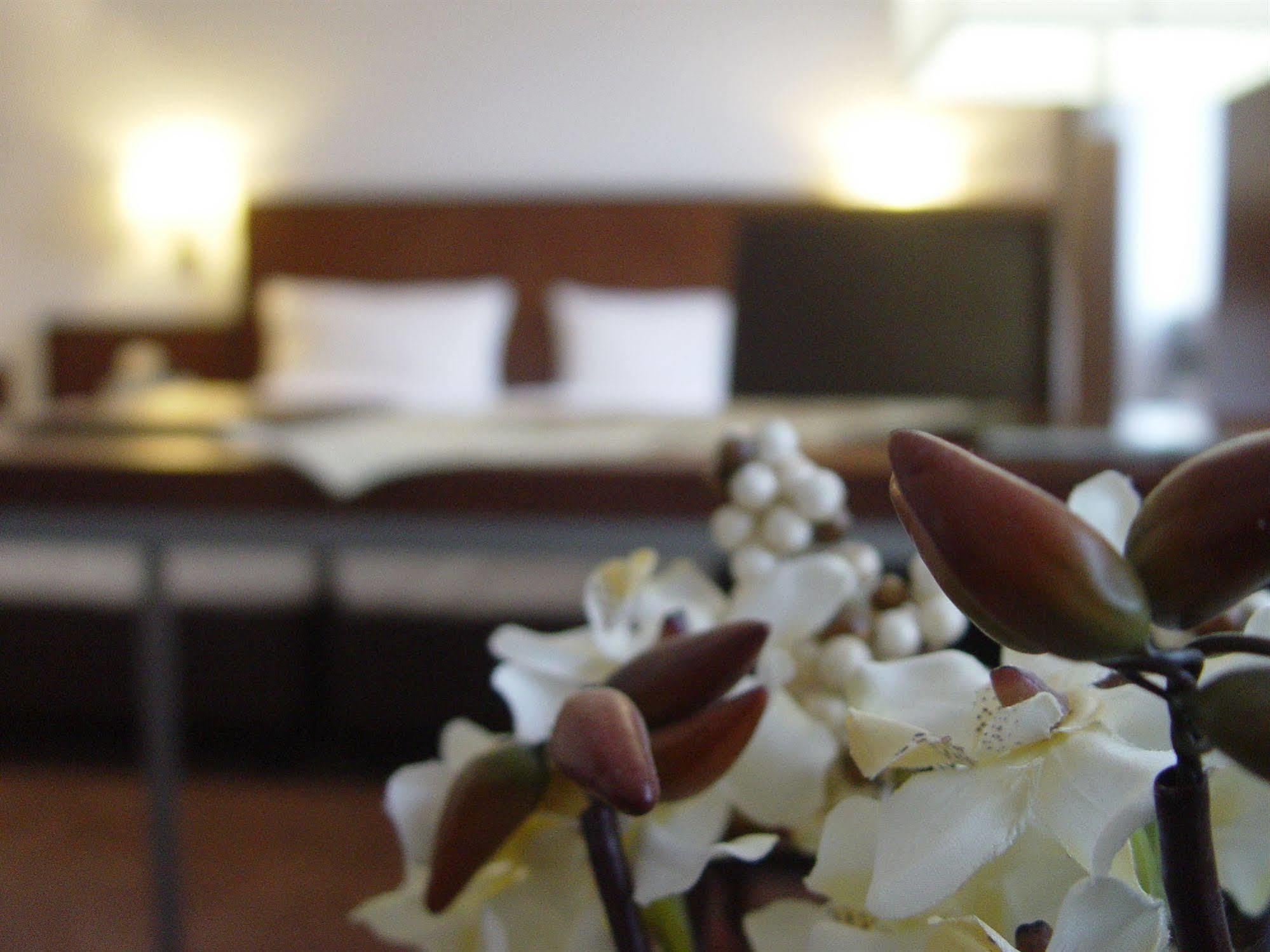 Hotel Zum Adler Βόννη Εξωτερικό φωτογραφία