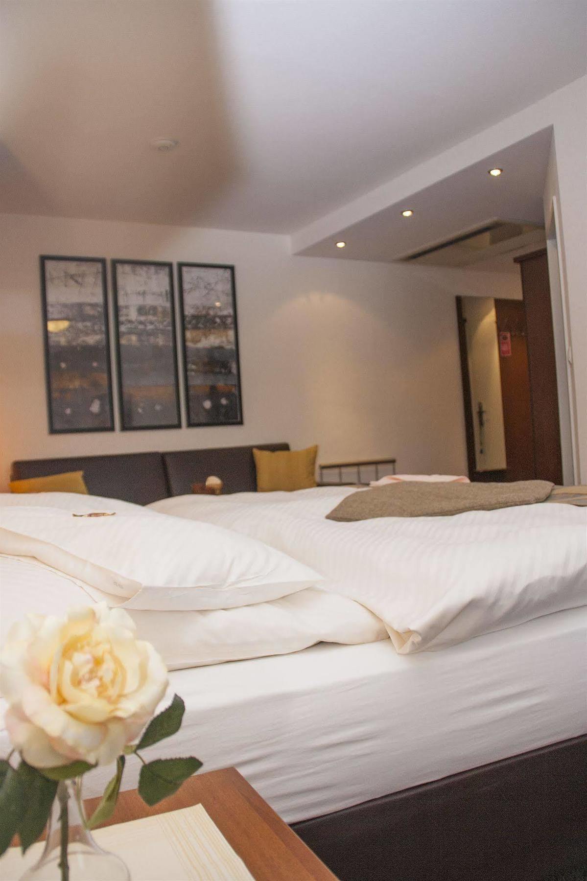 Hotel Zum Adler Βόννη Εξωτερικό φωτογραφία
